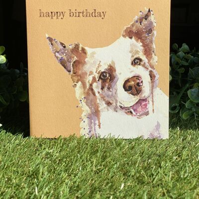 Cartolina d'auguri di buon compleanno Color Pop cane