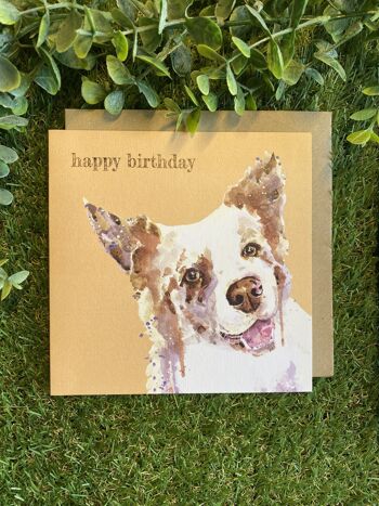 Happy Birthday Colour Pop dog greeting card 2