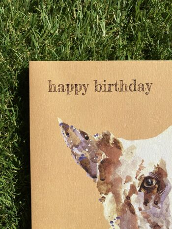 Happy Birthday Colour Pop dog greeting card 3