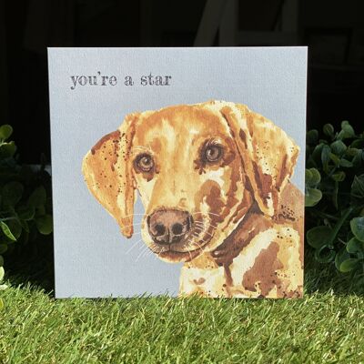 Du bist eine Star Color Pop Hundegrußkarte