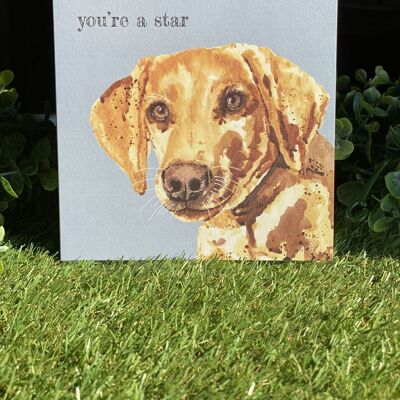 Eres una tarjeta de felicitación de perro Star Color Pop
