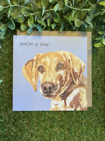 You're A Star Colour Pop dog greeting card 2