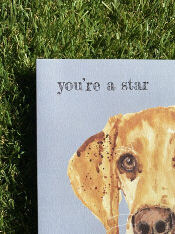 You're A Star Colour Pop dog greeting card 3