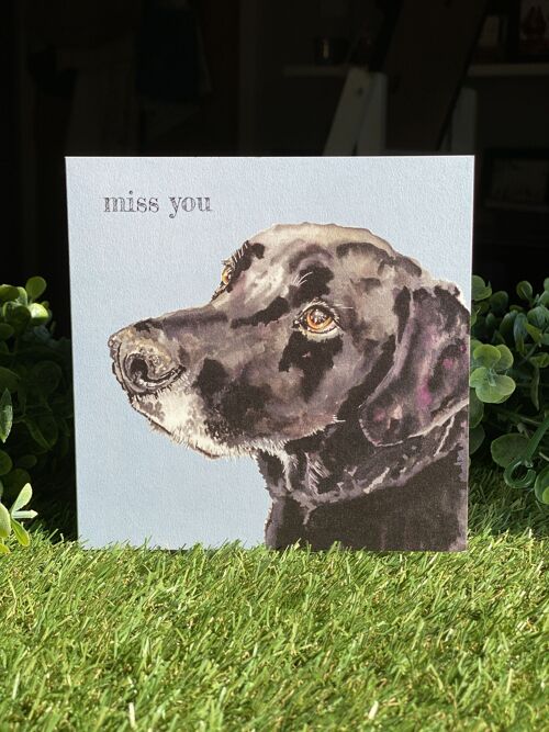 Miss You Colour Pop dog greeting card