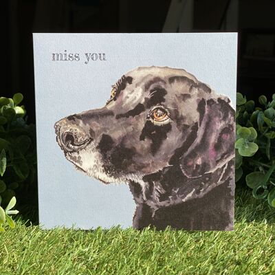 Miss You Color Pop dog greeting card