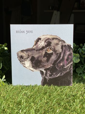 Miss You Colour Pop dog greeting card 1