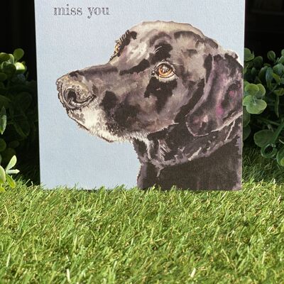 Tarjeta de felicitación de perro Miss You Color Pop