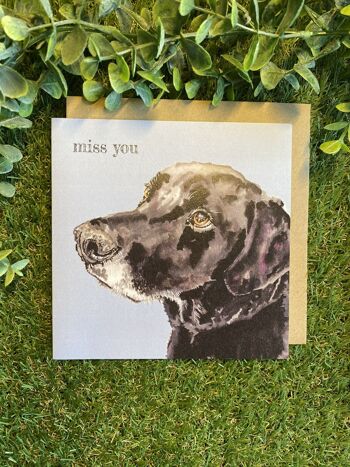 Miss You Colour Pop dog greeting card 2