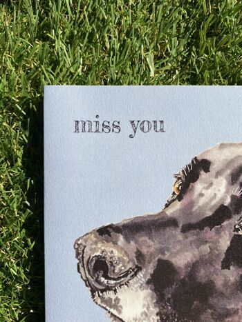 Miss You Colour Pop dog greeting card 3