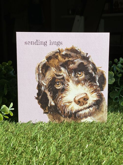 Sending Hugs Colour Pop dog greeting card