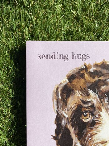 Sending Hugs Colour Pop dog greeting card 2