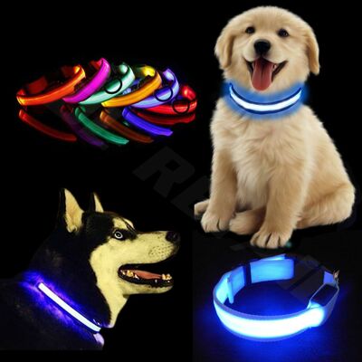 Collier de chien lumineux à LED