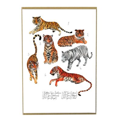 Stampa artistica di striscia di tigri