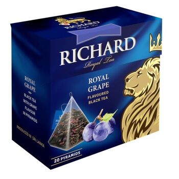 Thé RICHARD Raisin Royal, thé noir parfumé en pyramides, 20 x 1,7 g 2