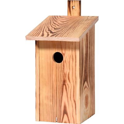 Caja nido flameada con tira de montaje, caja nido para pájaros silvestres, pino (13080e)