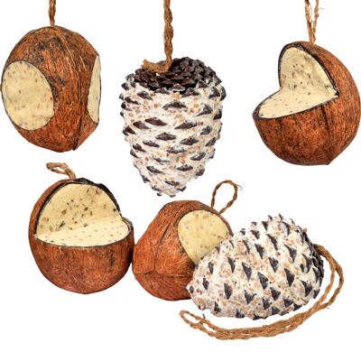 Hanging bird seed mix, four stuffed coconuts and two giant cones (24102e)
