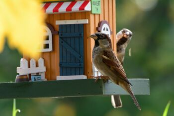 Maison d'oiseau décorative colorée western à suspendre en bois, mangeoire à oiseaux café (25109FSC) 5