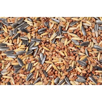 Streufutter 20 kg XL sac de graines pour oiseaux, toute l'année grain nourrir les oiseaux sauvages pour la dispersion (24098e)