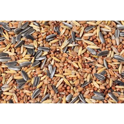 Streufutter 20 kg XL birdseed bag, year-round grain feed wild birds for scattering (24098e)