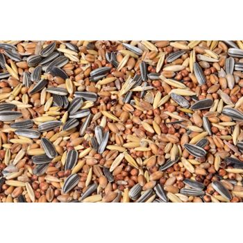 Streufutter 20 kg XL sac de graines pour oiseaux, toute l'année grain nourrir les oiseaux sauvages pour la dispersion (24098e) 1