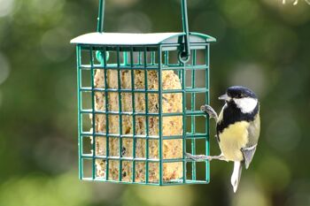 Six blocs énergétiques riches en protéines Blocs de graisse avec 2 mangeoires gratuites pour suspendre toute l'année Nourriture pour oiseaux Aliment gras pour oiseaux sauvages (24093e) 6