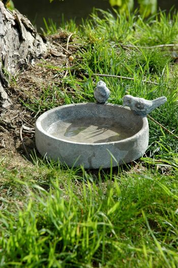 Abreuvoir pour oiseaux "Pool-Oase" (en 2 tailles) - Ø 24,5 cm 3