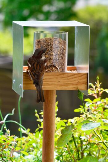 Volière en chêne avec toit en aluminium, plateau d'alimentation, silo d'alimentation, support inclus 6