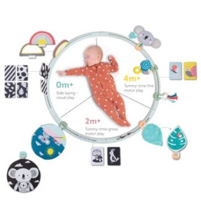 All Around Me Activity Hoop