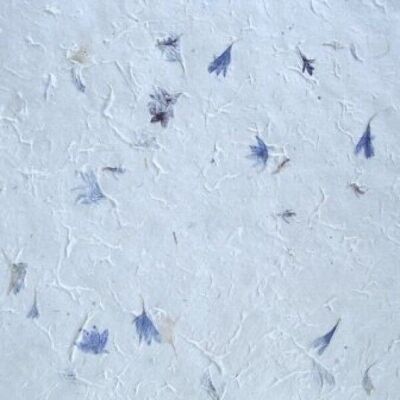 Natural Cornflower Petaled Gift Wrap Sheets