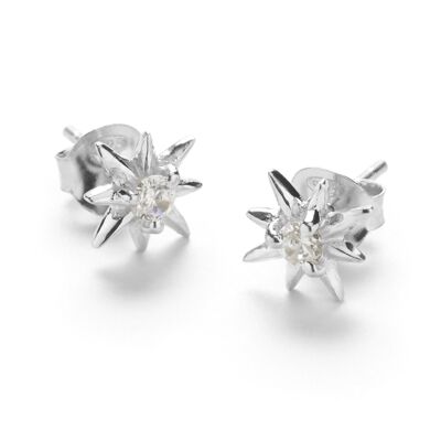 Star Earring - Silver