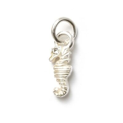 Seahorse SilverShiny, Amulet S