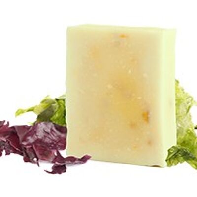 Kalte Surgras-Seife mit Algen - Alle Hauttypen