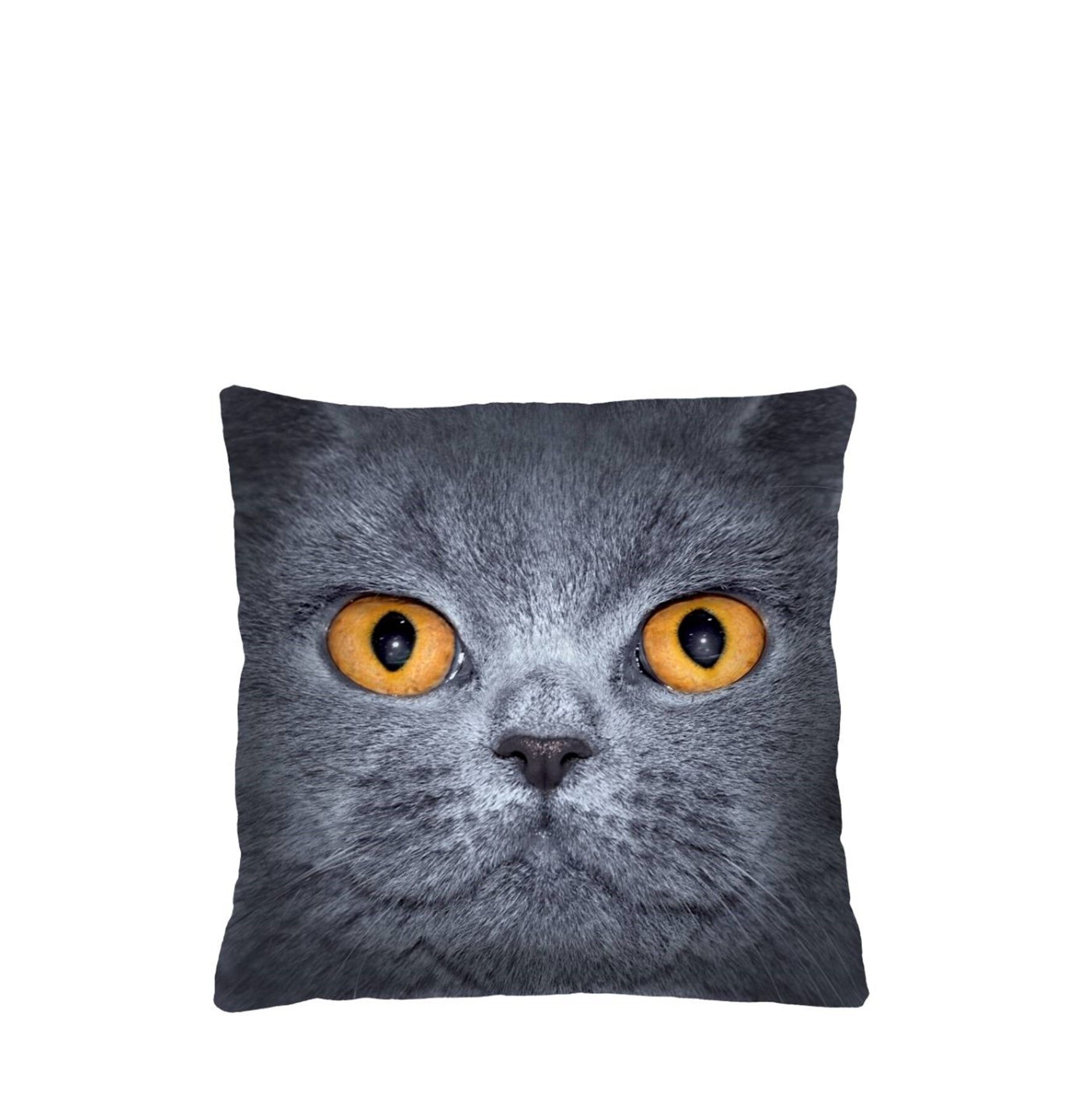 Leon Cuscino Decorativo Casa Bertoni 40 x 40 cm.