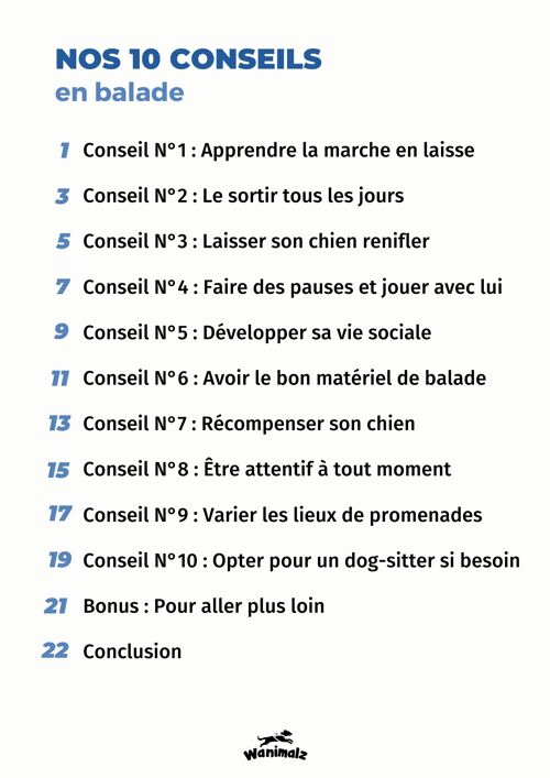 Nos 10 conseils pour une balade réussie