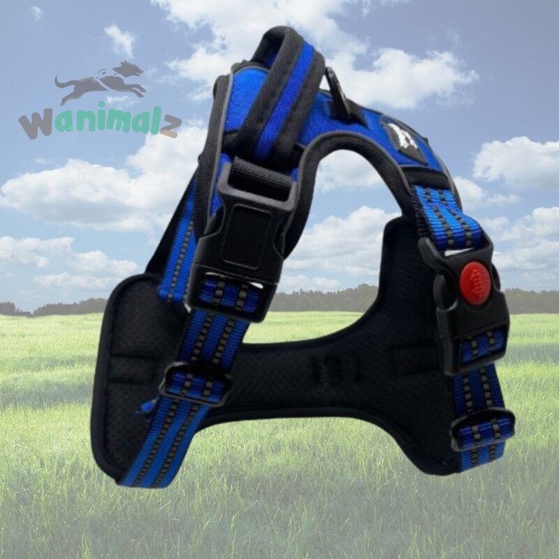 Pettorina anti-strappo per cani