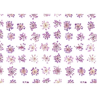 Wallcovering Fine Dried Flowers
