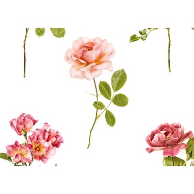 Wallcovering Romantic English Roses