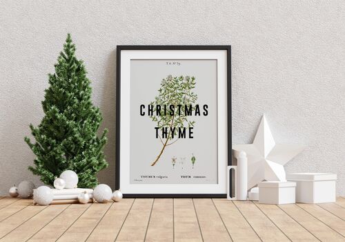 Christmas Thyme - A4 Print