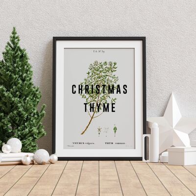 Christmas Thyme - A4 Print