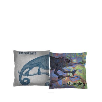Kameleon Duo Set Of 2 Home Decorative Pillows Bertoni 40 x 40 cm.