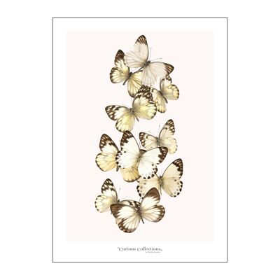 Poster Swarm of White Butterflies