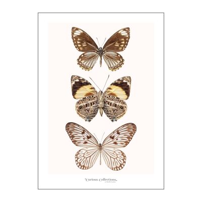 Póster 3 - Mariposas