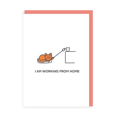 Working From Home Cat , TNN-GC-5237-A6