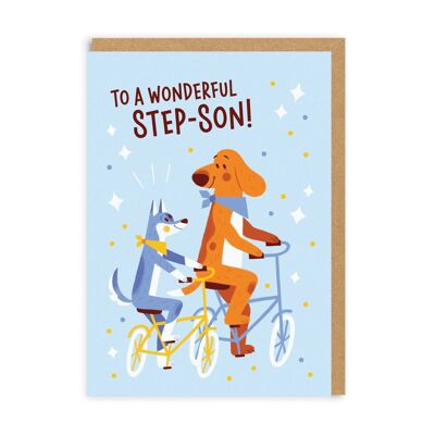 Wonderful Step-Son , MSY-GC-4411-A6
