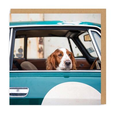 Dog In Car , SAY-GC-4504-SQ