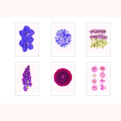 set of 6 cards A3 flowers