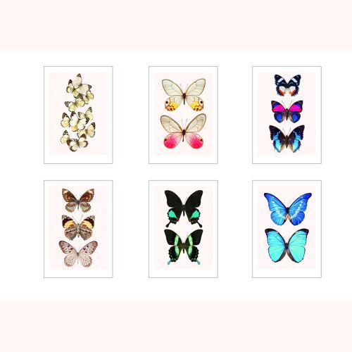 set of 6 cards A3 butterflies