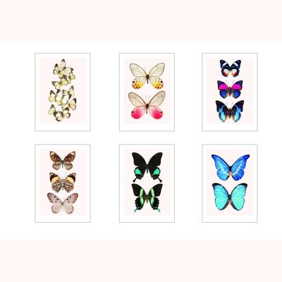 Satz von 6 Karten A3 Schmetterlinge