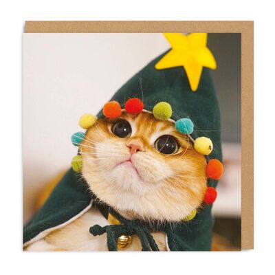 Pisco The Cat - Christmas , SAYGC6747