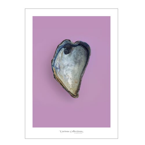 Poster heart Musselshell